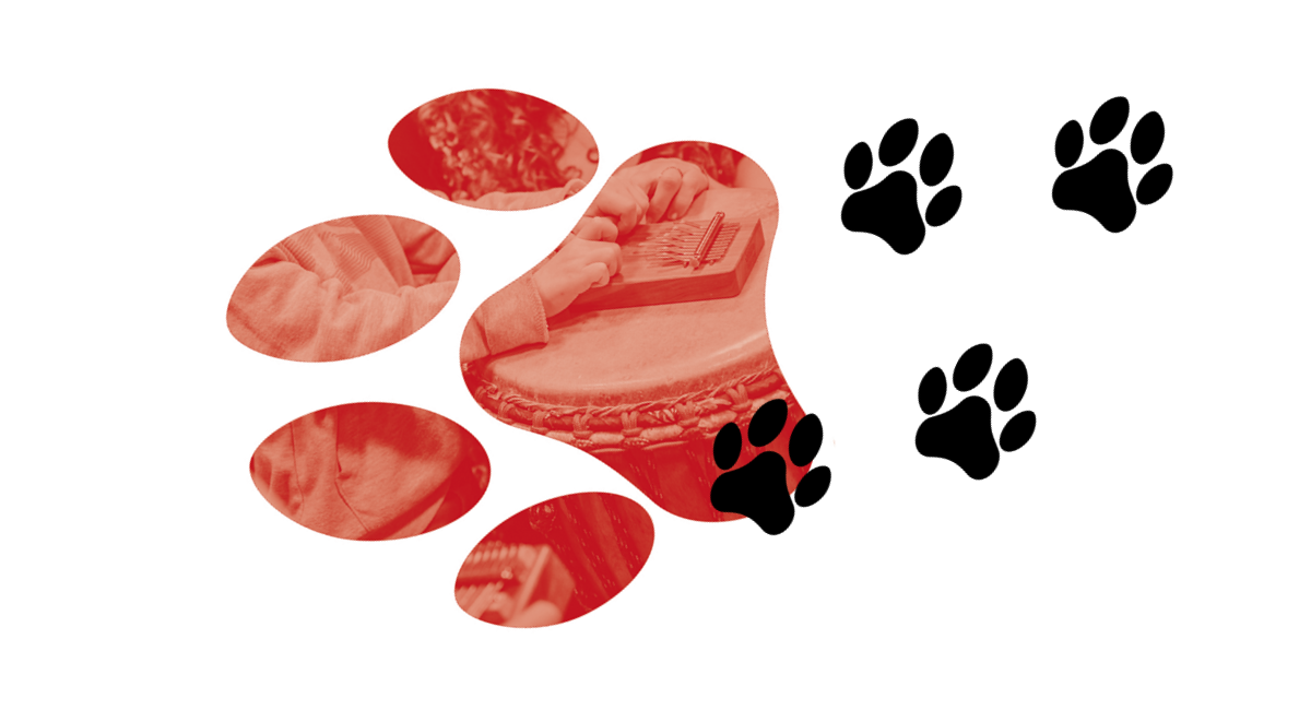 grafika przedstawiająca ślady łap zwierzęcych z kadrem z zajęć na białym tle