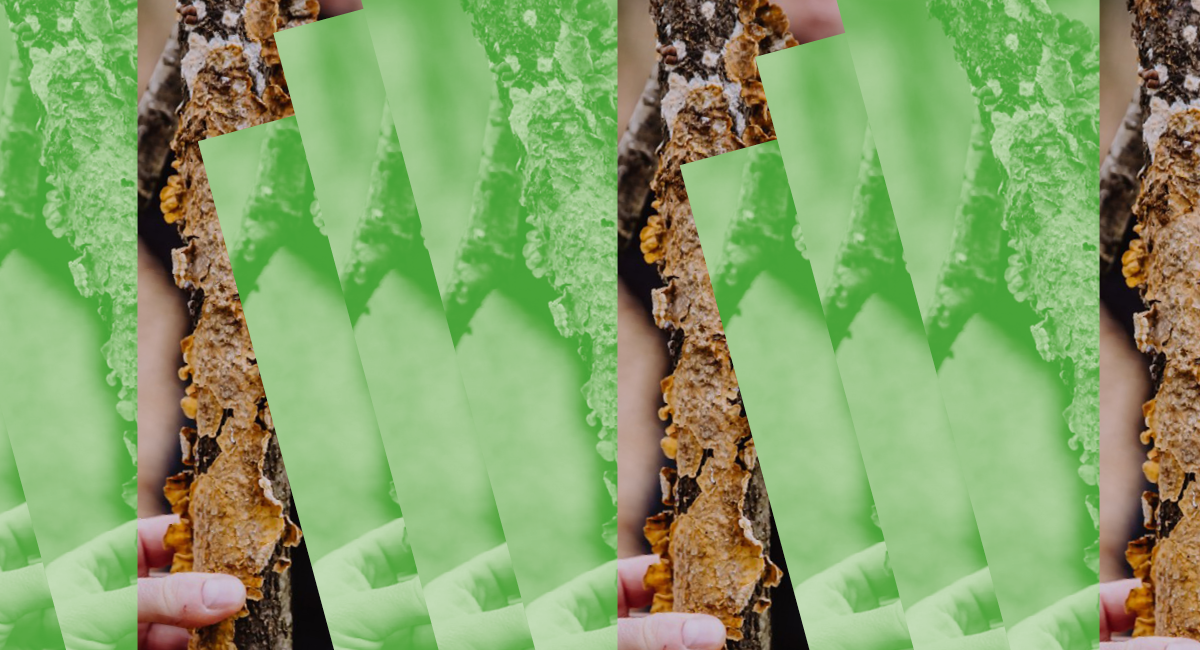 Abstrakcyjna grafika.