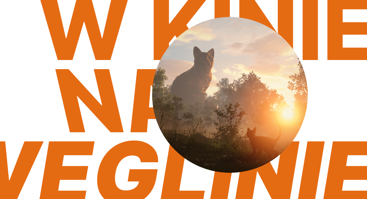 Grafika z fotosem kota.