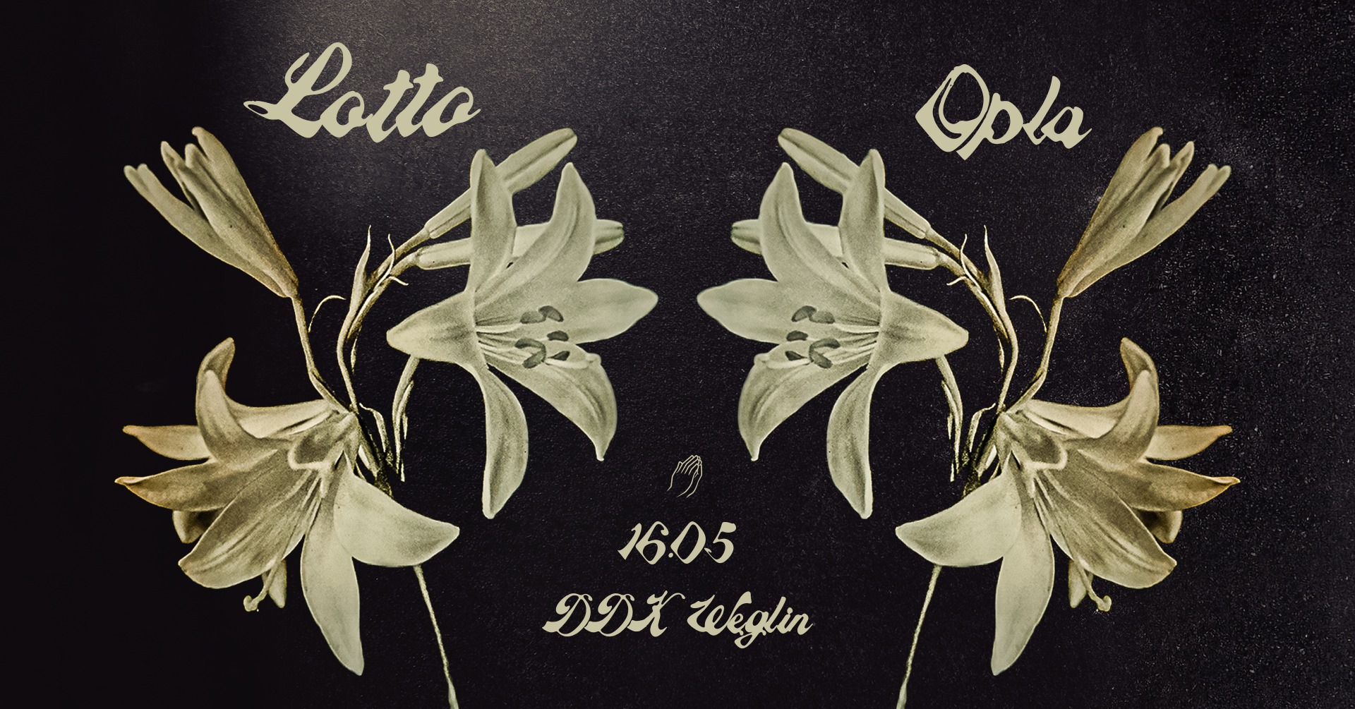 grafika symetrycznie odbitych kwiatów na ciemnym tle