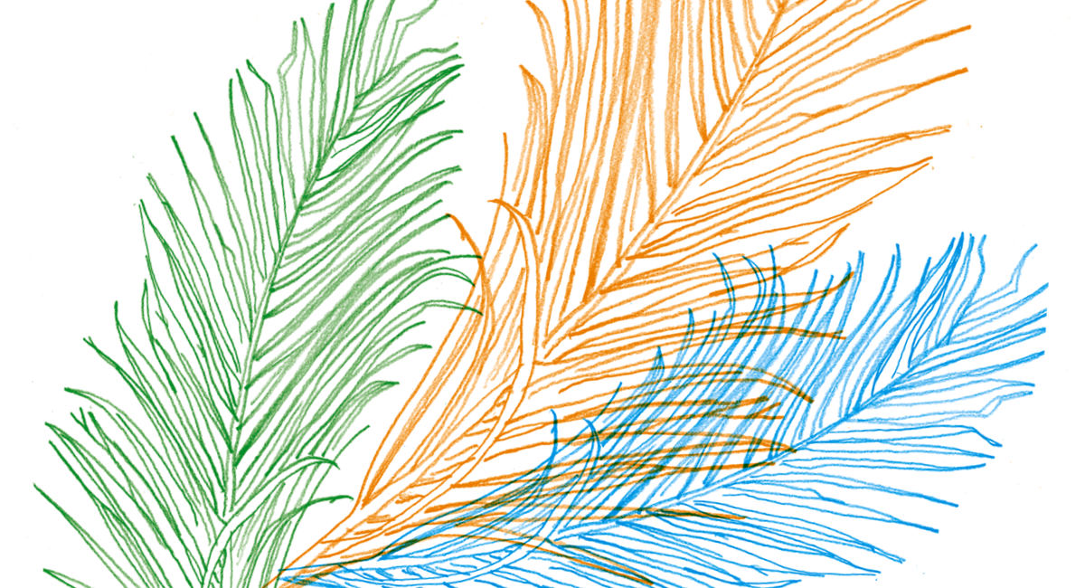 szkic kolorowych palm na białym tle